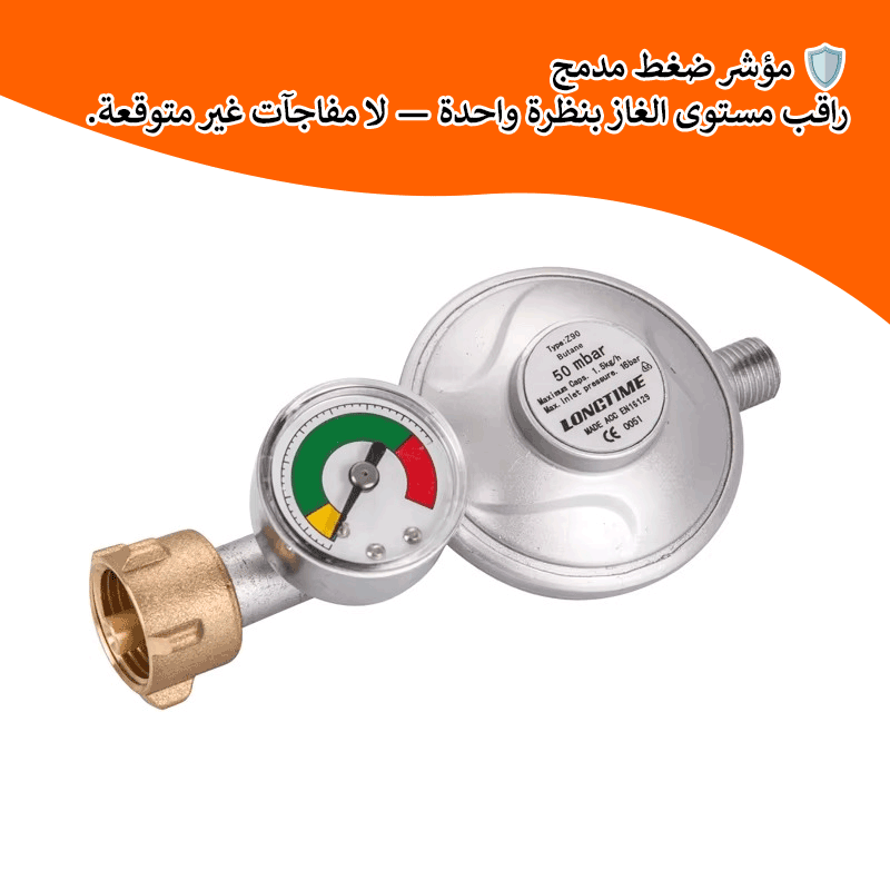 منظم ضغط الغاز