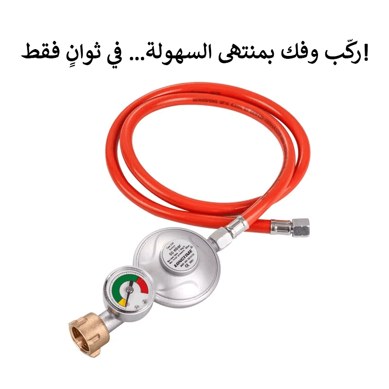 منظم ضغط الغاز