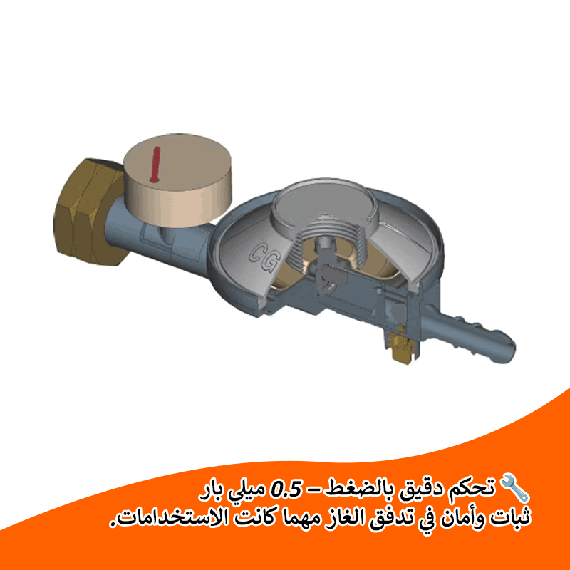 منظم ضغط الغاز