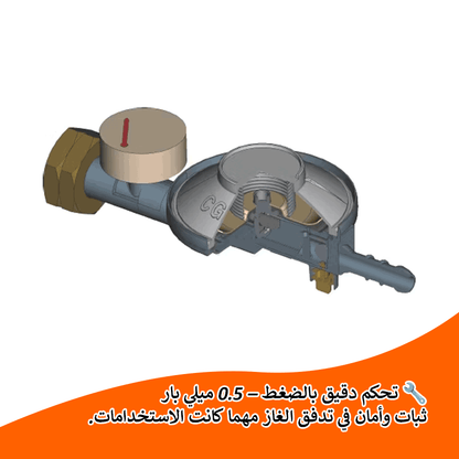 منظم ضغط الغاز